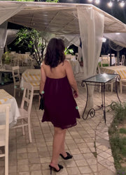 Dazzle- ALine dress (WINE)